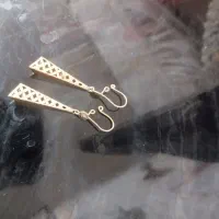 گوشواره سالم