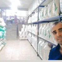 برنج طارم هاشمی