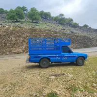نیسان زامیاد|خودرو سواری و وانت|شهرکرد, |دیوار