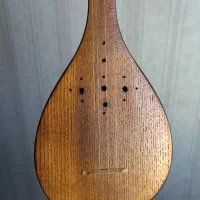 سه تار سارا حرفه ای