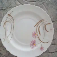 وسایل خانه|ظروف سرو و پذیرایی|فلاورجان, |دیوار