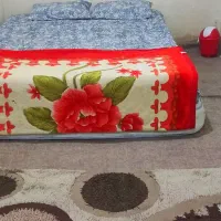 منزل مبله|اجارهٔ کوتاهمدت آپارتمان و سوئیت|شیراز, مسلم|دیوار