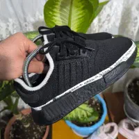 کتونی اورجینال|کیف، کفش، کمربند|تهران, جوادیه تهرانپارس|دیوار