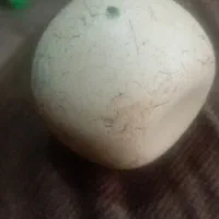 سنگ اسیاب قدیمی و خاص ا
