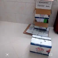کارتون خالی
