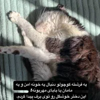 واگذاری رایگان