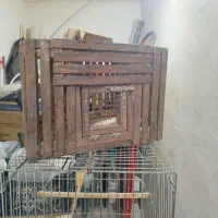 فروش قفس|لوازم جانبی حیوانات|بوشهر, |دیوار