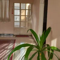 هم-خانه-یا-هم-خونه-خانم