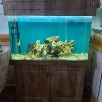 اکواریوم شیشه خم