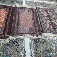 قالی دست باف|فرش|خواف, |دیوار