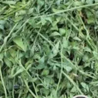 یو نجه کیلو