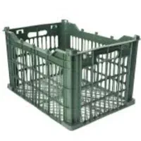 سبد رنگی سردخانه ای