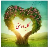 مشارکت ۱۷۰۰متر حسینی الهاشمی