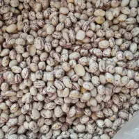 حبوبات درجه یک لرستان|خوردنی و آشامیدنی|تهران, تاکسیرانی|دیوار