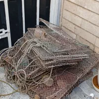 گرگور‌ ماهگیریی