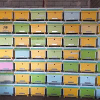 فروش کندو و طبق درجه یک|لوازم جانبی حیوانات|خوی, |دیوار