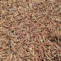 میلورم خشک درجه یک