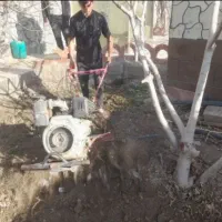 هرس کاری و باغبانی وگل کاری