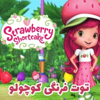 مربی خانه بازی محدوده پاسداران نیرو مجرد.