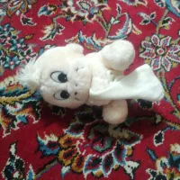 عروسک|اسباب‌بازی بچه|قوچان, |دیوار