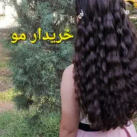بالای ۵۰ سانت