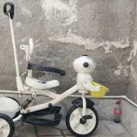 سه چرخه|دوچرخه، اسکیت، اسکوتر|مشهد, دوست آباد|دیوار