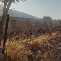 اجاره سالیانه مرغداری آماده به کار|اجارهٔ دفتر صنعتی، کشاورزی، تجاری|ایوان, |دیوار