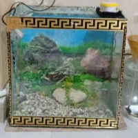 آکواریوم باشن رنگی درخت مصنوعی