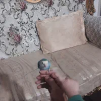 طوطی برزیلی