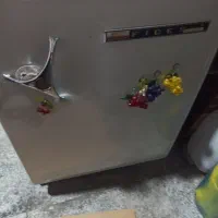 یخچال  آمریکایی کوچک مغازه