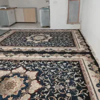 سوییت