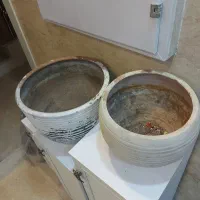 سه عدد گلدان بزرگ|گل و گیاه طبیعی|اسلامشهر, شهرک سعیدیه|دیوار