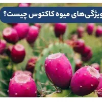 اپونیتای بنفش