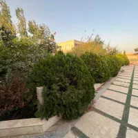 ۱۰۰۰مترویلا/سهیلیه زعفرانیه کردان تهراندشت|فروش خانه و ویلا|کرج, فاز ۱ مهرشهر|دیوار