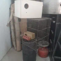 قفس و لانه