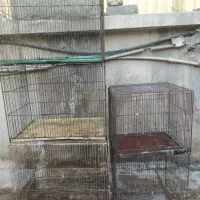 کفتر قفس کفتر قفس بزرگ پنج قفس مرغ عشق فنج|لوازم جانبی حیوانات|تهران, شهرک ولیعصر شمالی|دیوار