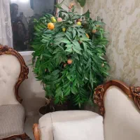 گل و گلدان مصنوعی