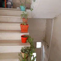 دوچرخه در حدنو