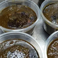 آشپز و پیک موتوری|استخدام خدمات فروشگاه و رستوران|قشم, |دیوار