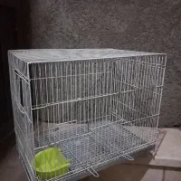 قفس پرنده