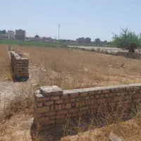 زمین-با-سند-تک-برگ
