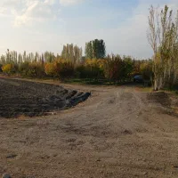 باغ-در-کلشان