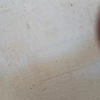 ارد هفشجان بابهترین نوع پخت