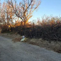 فروش-باغ-بصورت-خام-و-چاردیواری-ملارد-اسفنداباد