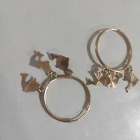 گوشواره دلفین