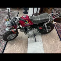 هندا زد50 کلکسیون