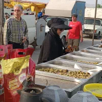 به یک شاگرد نیازمندم محدوده قاسم آباد و توس