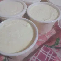 شیر،دوغ،ماست محلی