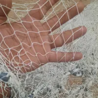 طورماهیگیری