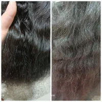 موخوره گیری اکبراباد